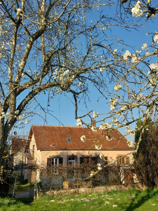 La Maison des Sarments