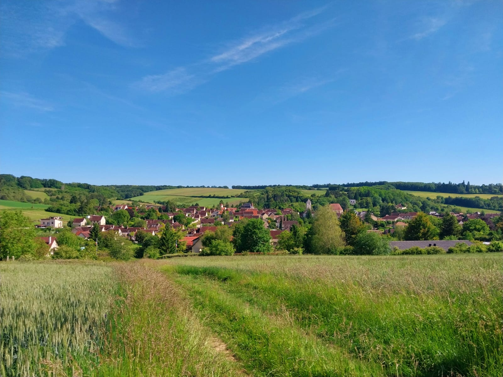 Forêt