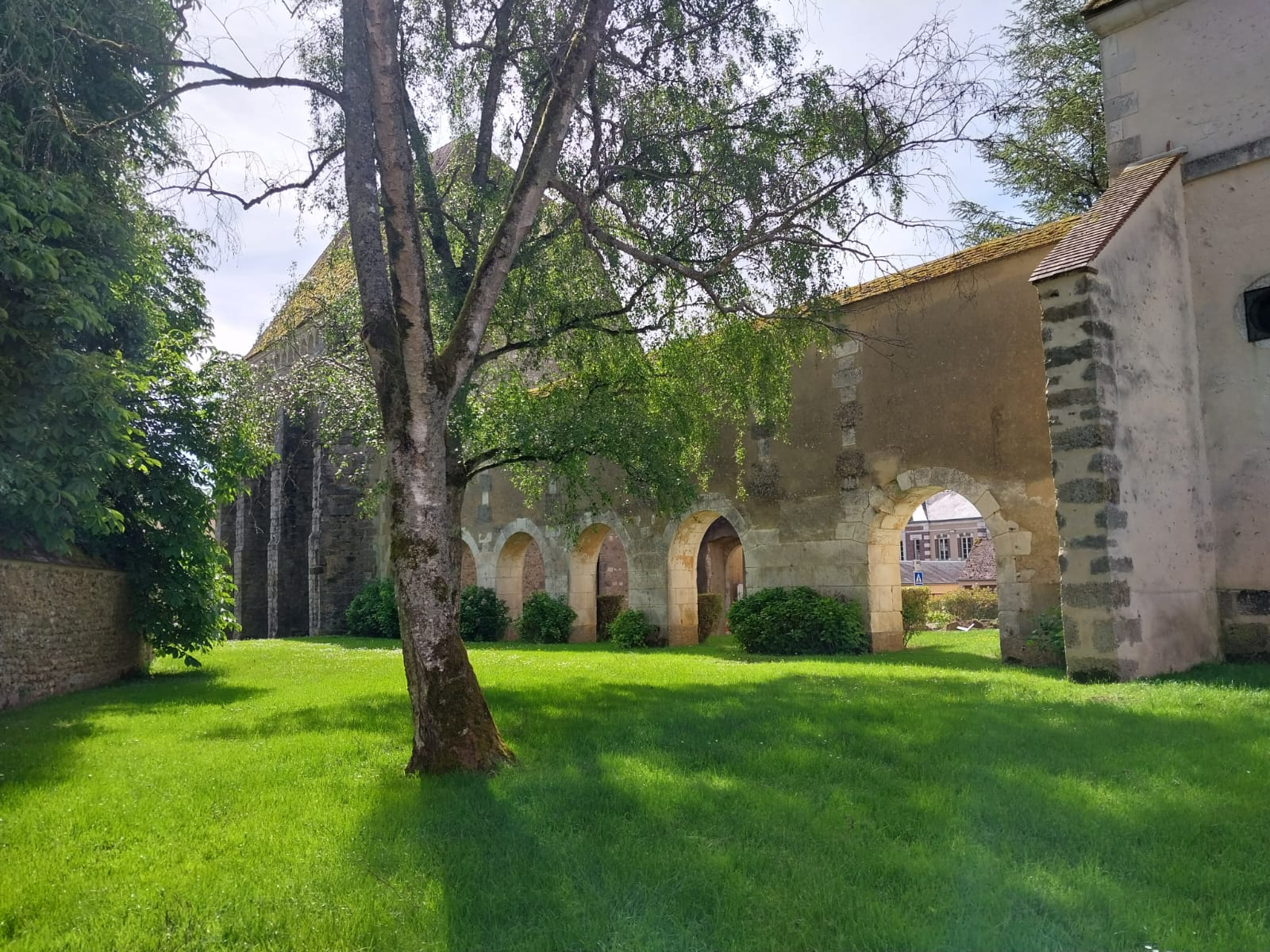 Forêt