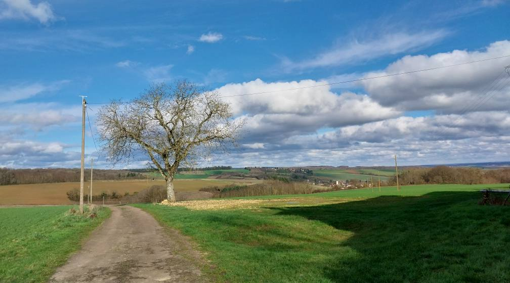 Paysage